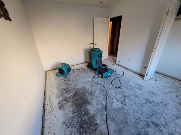 Best 24/7 water damage repair  in Ontario, CA