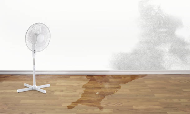 Trusted Ontario, CA Water damage restoration Experts