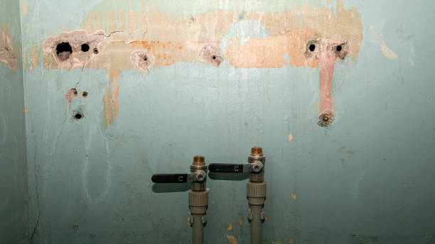 Best Commercial water damage restoration  in Ontario, CA
